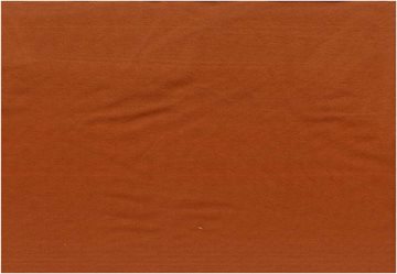 Modal Touch jersey Burnt orange